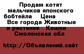 Продам котят мальчиков японского бобтейла. › Цена ­ 30 000 - Все города Животные и растения » Кошки   . Смоленская обл.